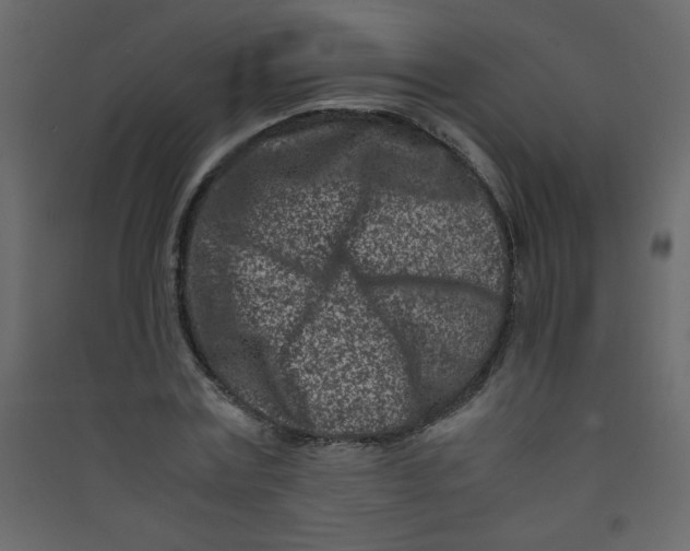 X0000089430779200707131843