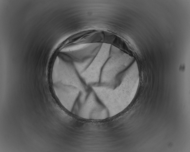 X0000089430780200707131843