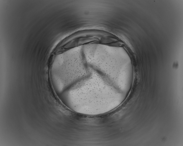 X0000089430781200707131843
