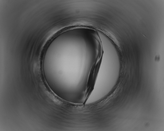 X0000089430784200707131843
