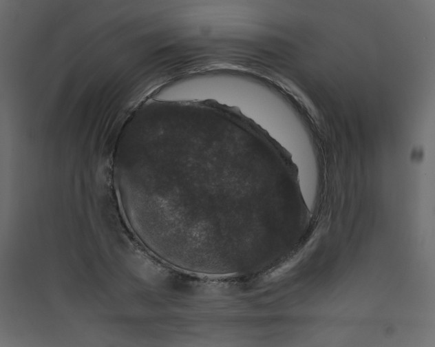 X0000089430785200707131843