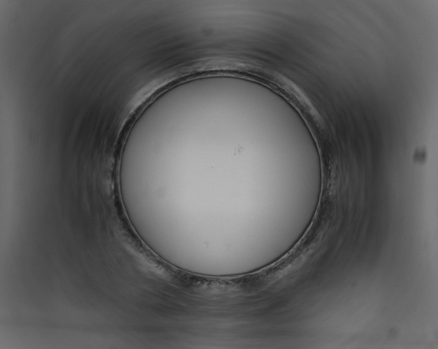 X0000089430786200707131843