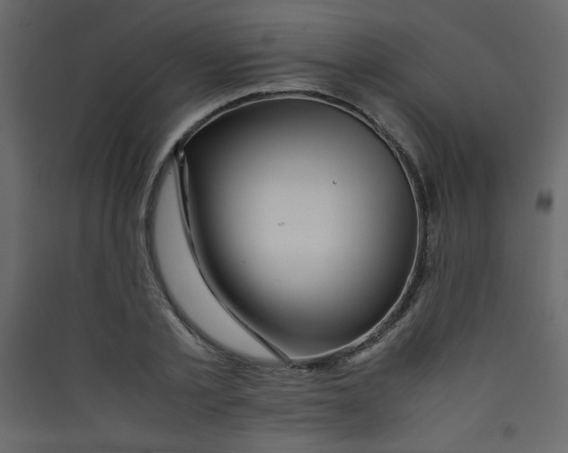 X0000089430789200707131843