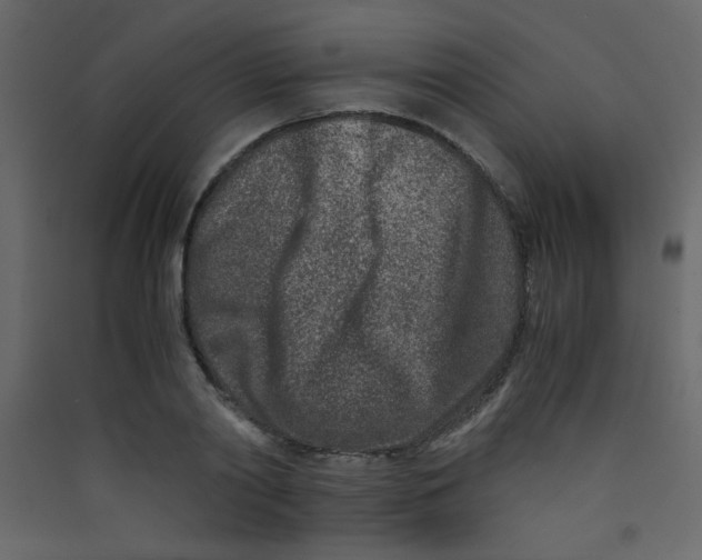 X0000089430790200707131843