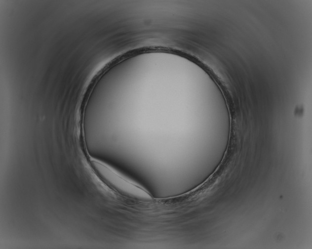 X0000089430791200707131843