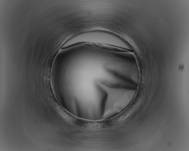 X0000089430793200707131843