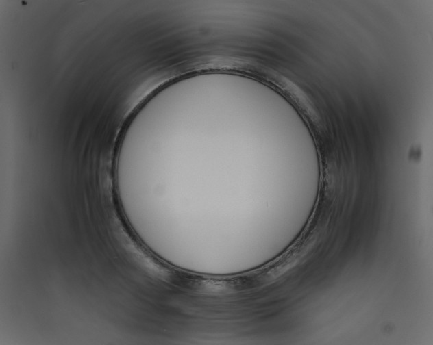 X0000089430794200707131843