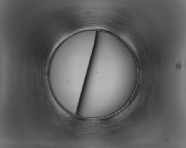 X0000089430797200707131843