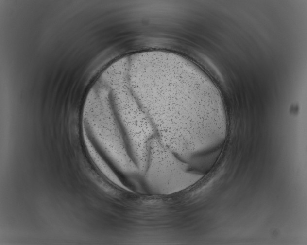 X0000089430798200707131843