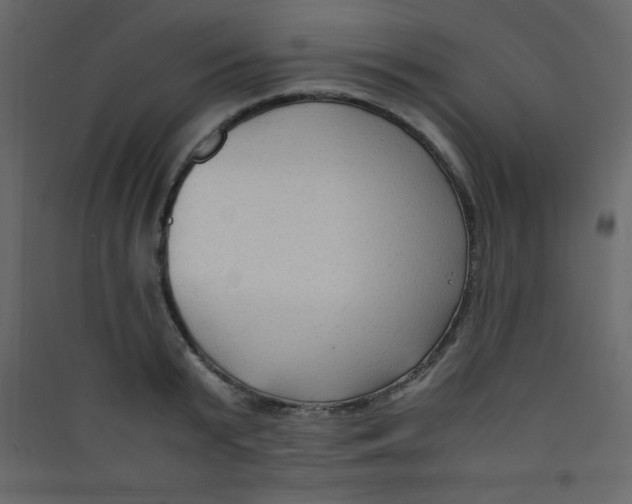 X0000089430799200707131843