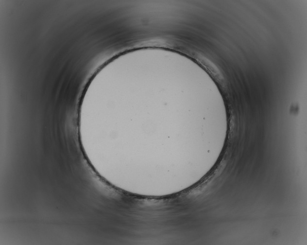 X0000089430800200707131843