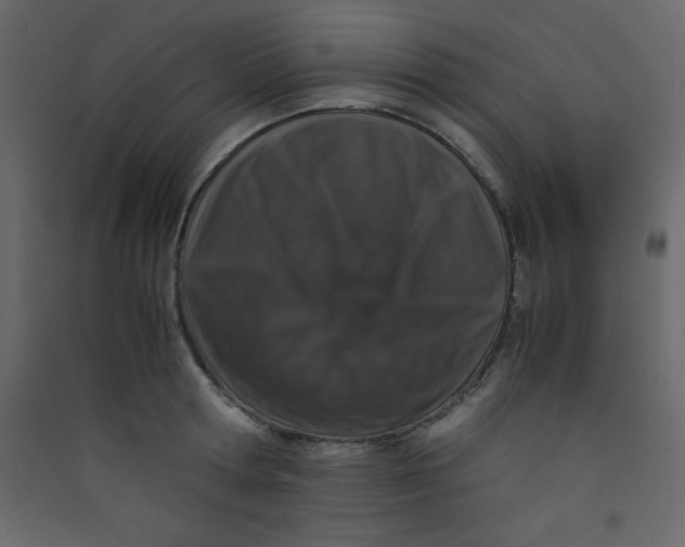 X0000089430802200707131843