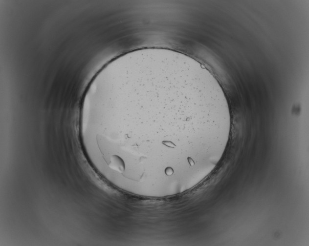 X0000089430804200707131843