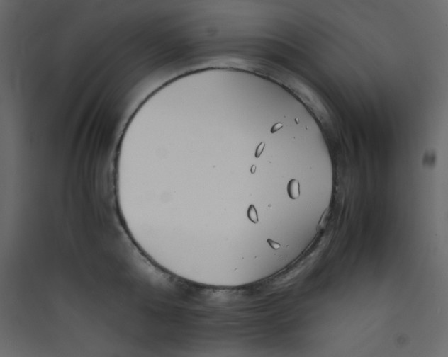 X0000089430808200707131843