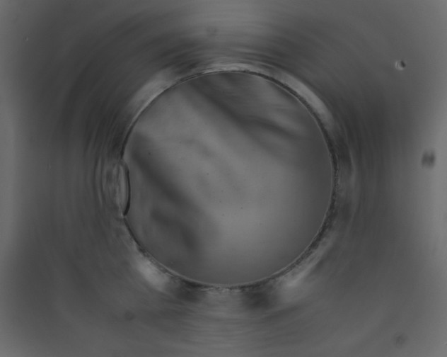 X0000089430809200707131843