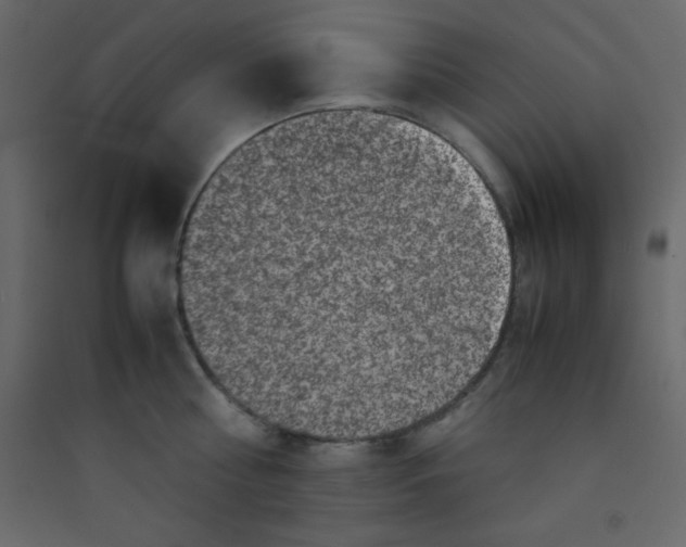 X0000089430810200707131843