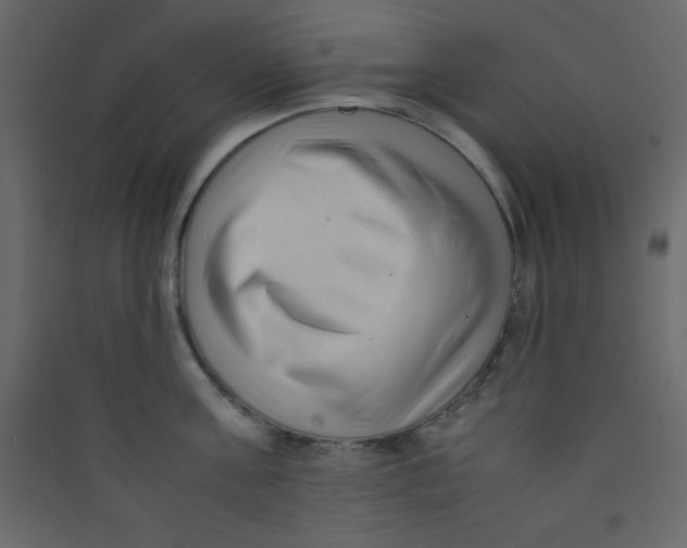 X0000089430811200707131843