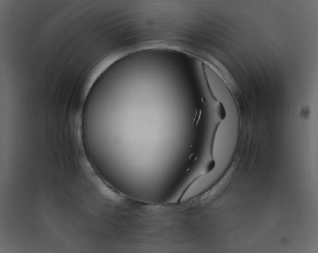 X0000089430812200707131843