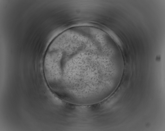 X0000089430813200707131843