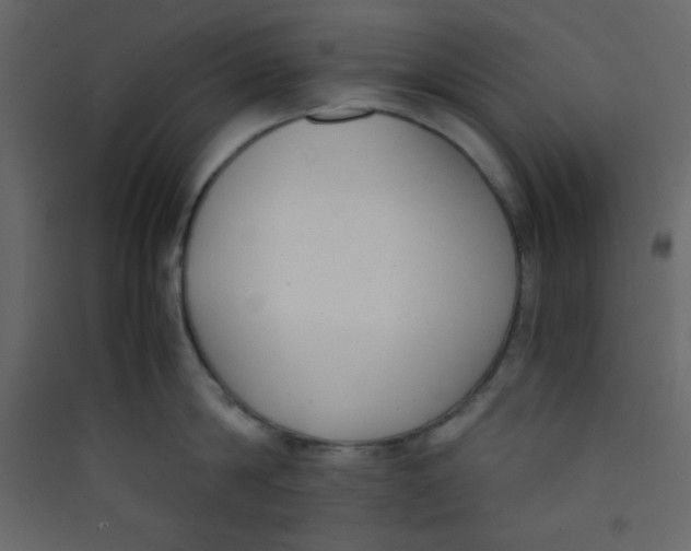 X0000089430814200707131843