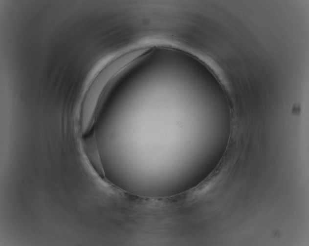 X0000089430815200707131843