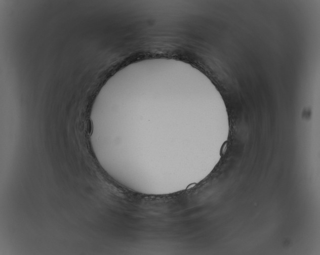 X0000089430817200707131842