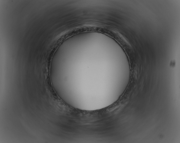 X0000089430821200707131842