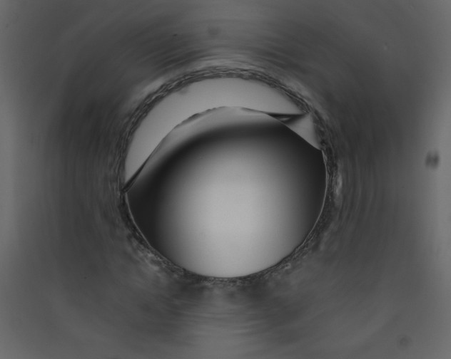 X0000089430822200707131842