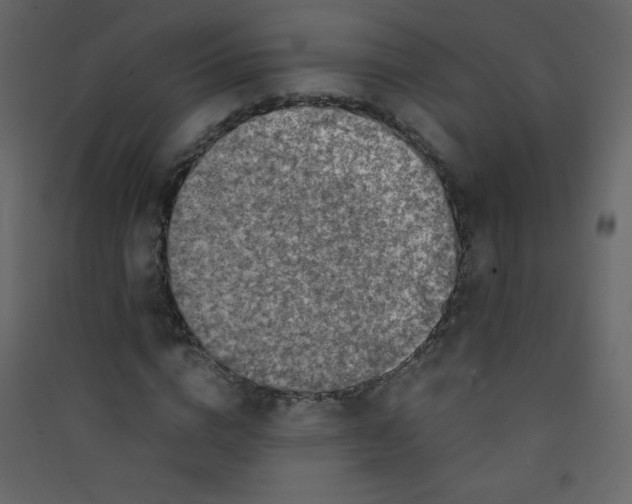 X0000089430824200707131842
