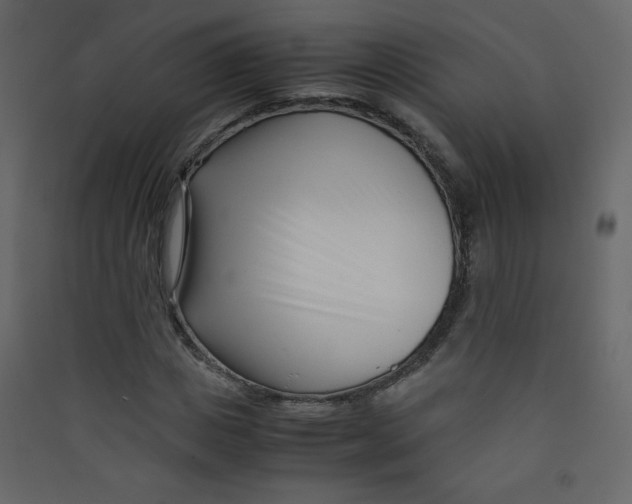 X0000089430825200707131842