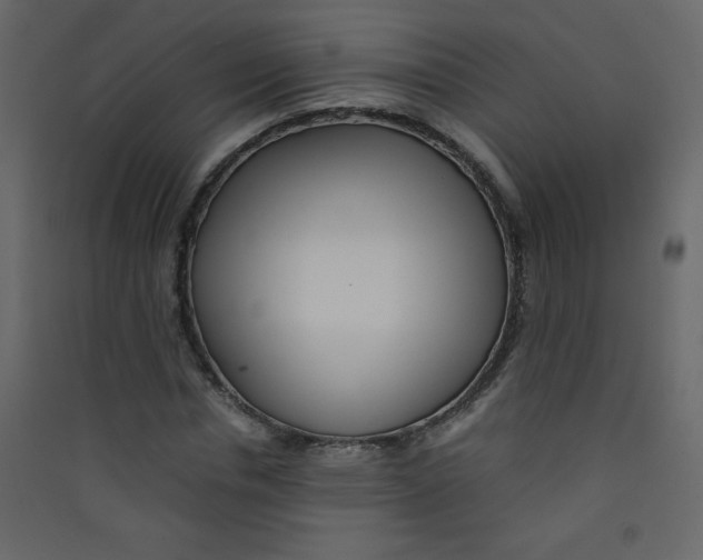 X0000089430826200707131842