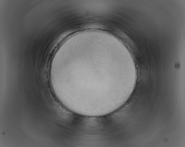 X0000089430828200707131842