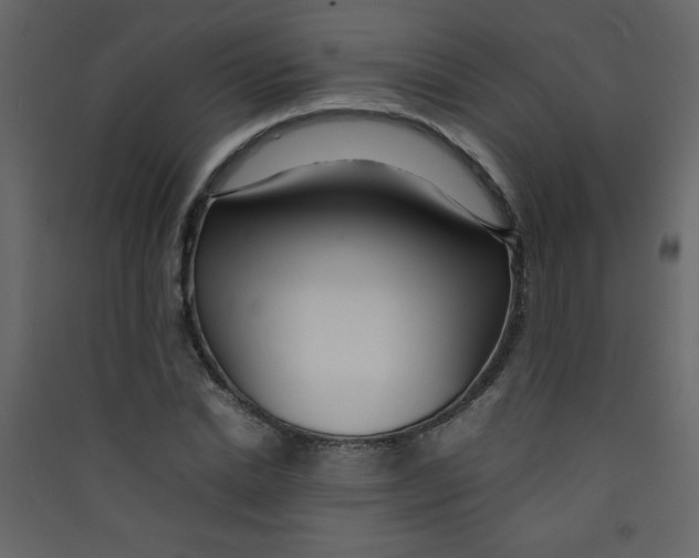 X0000089430830200707131842