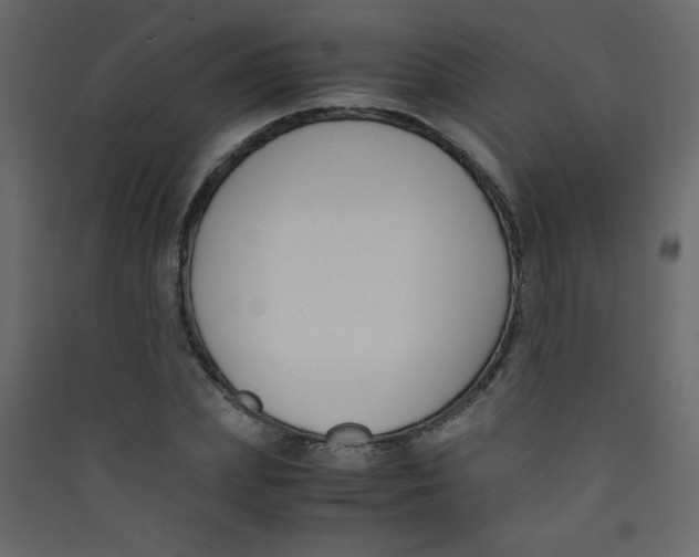 X0000089430831200707131842