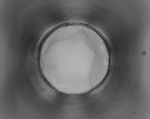 X0000089430832200707131842