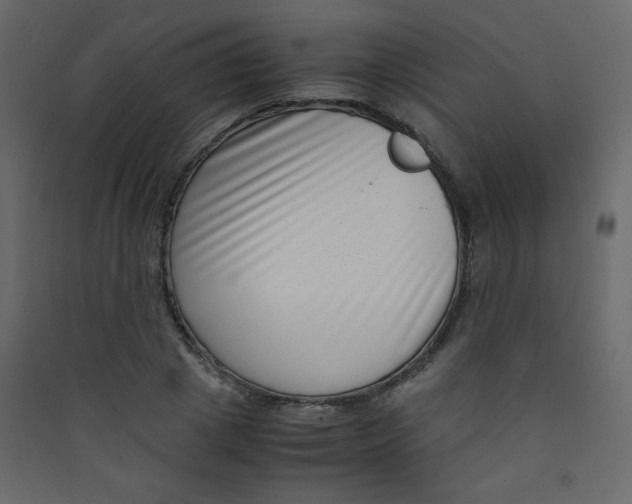 X0000089430833200707131842