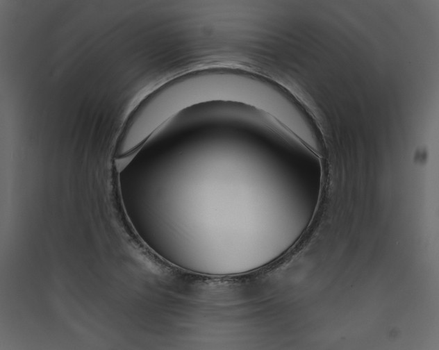 X0000089430834200707131842