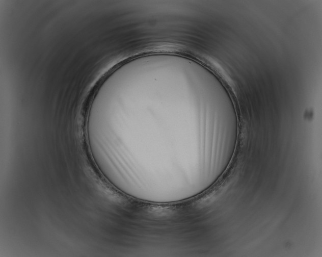 X0000089430835200707131842