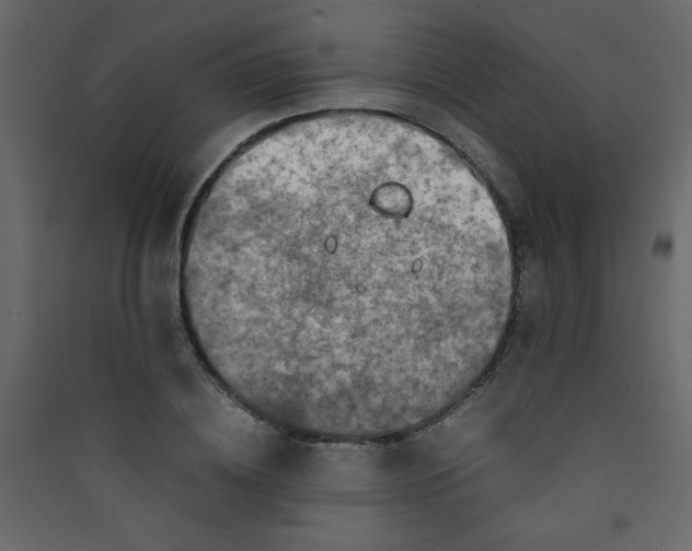 X0000089430836200707131842