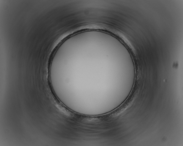 X0000089430837200707131842
