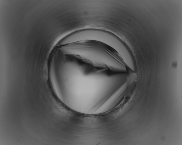 X0000089430838200707131842