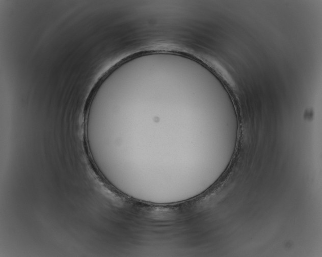 X0000089430839200707131842