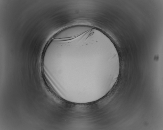 X0000089430840200707131842