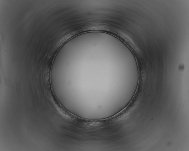 X0000089430841200707131842