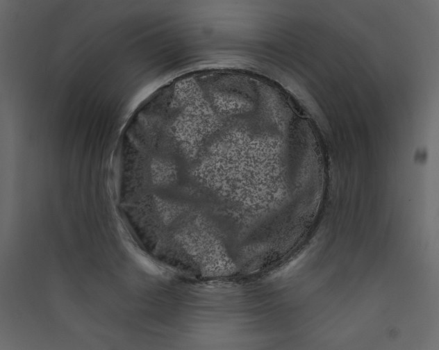 X0000089430842200707131842