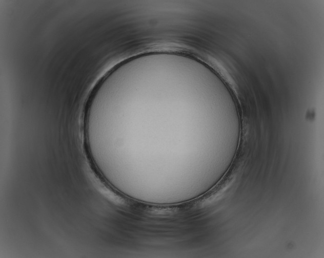 X0000089430843200707131842