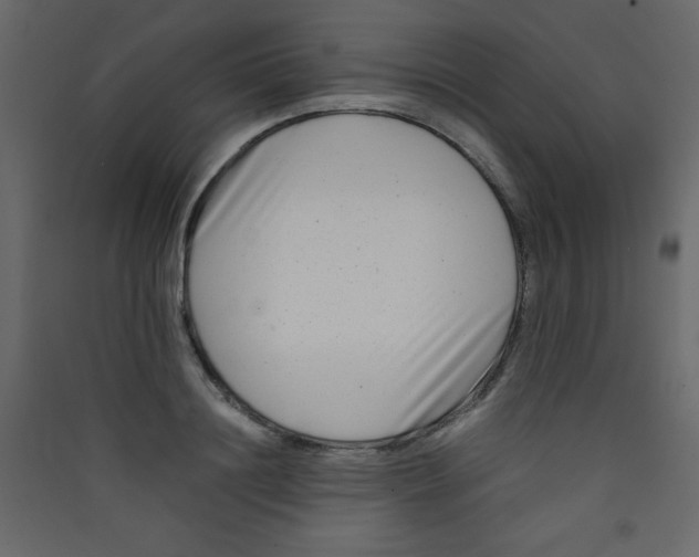 X0000089430844200707131842