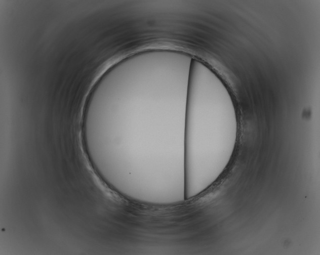 X0000089430845200707131842