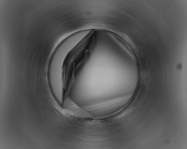 X0000089430846200707131842