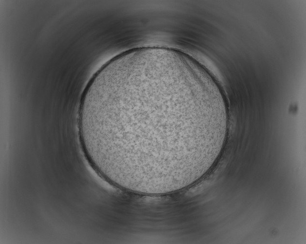 X0000089430847200707131843